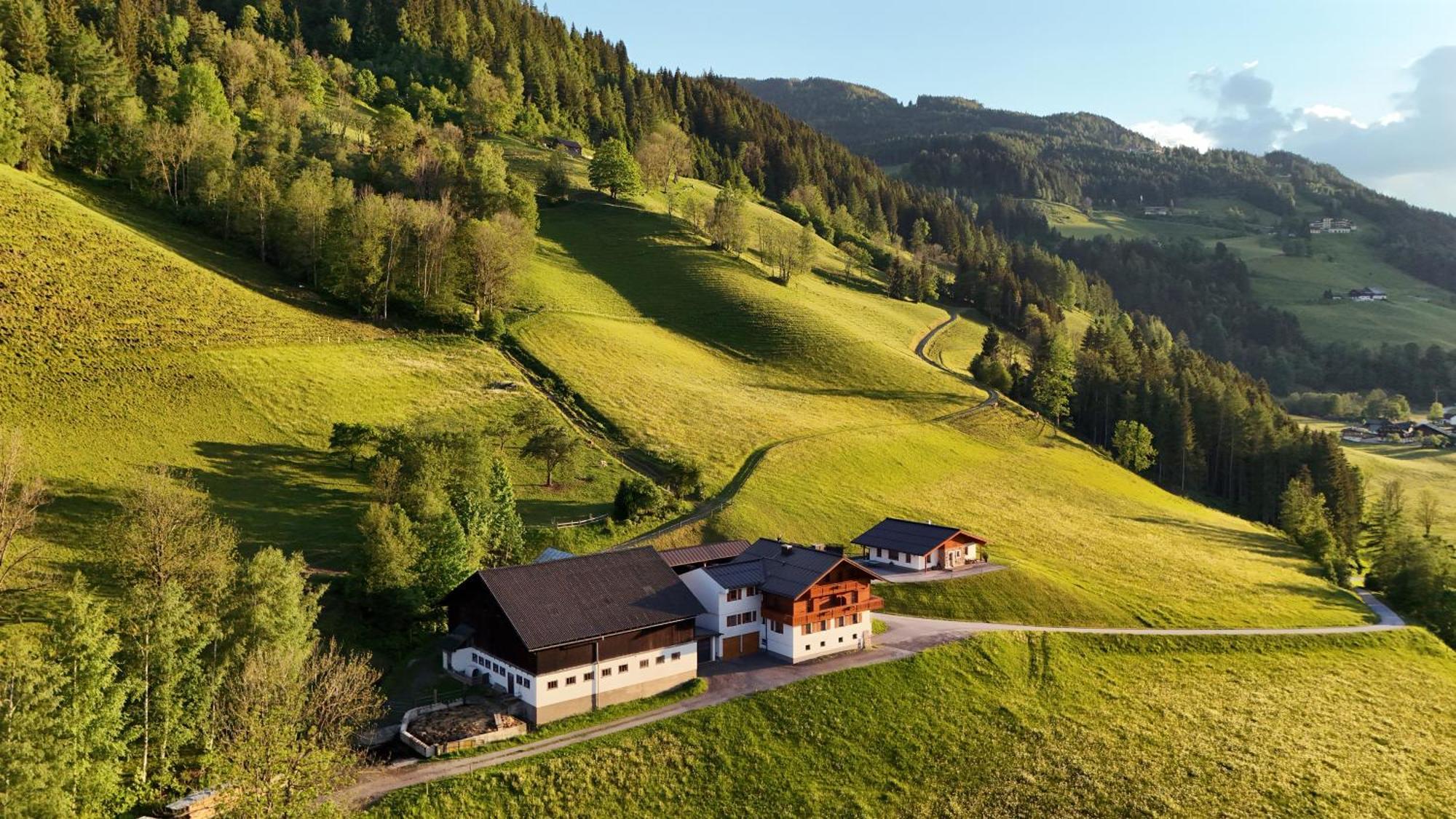 Apartments Frechhof Schladming Bagian luar foto